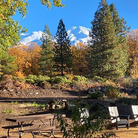 Basecamp Lodge Mount Shasta Ngoại thất bức ảnh